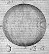 Vitreous body Codfish